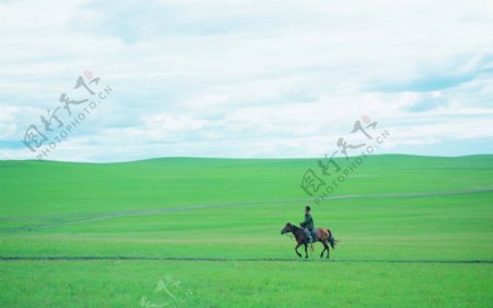 大草原风景图片