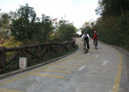 深圳绿道路图片