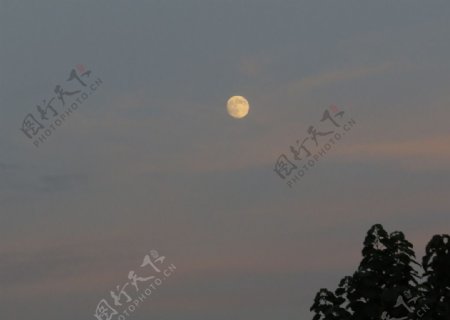 傍晚月亮图片