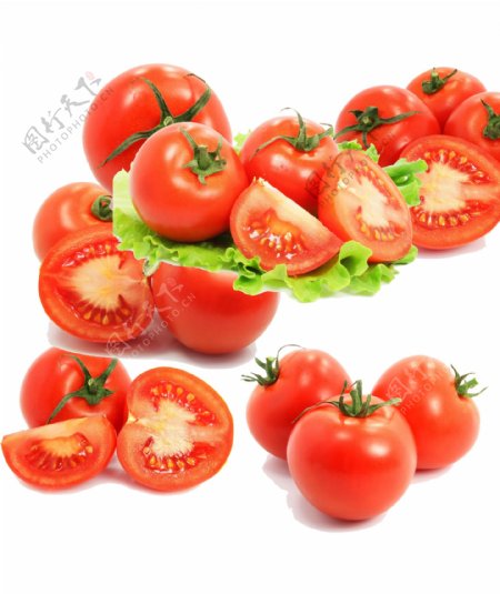 西红柿番茄分层素材图片