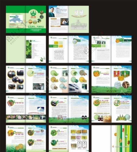 生宝种养画册绿色有机食品画册图片