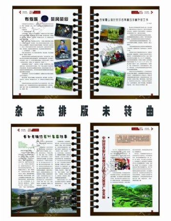 茶文化杂志设计图片