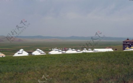 莫尔道嘎国家深林公园图片
