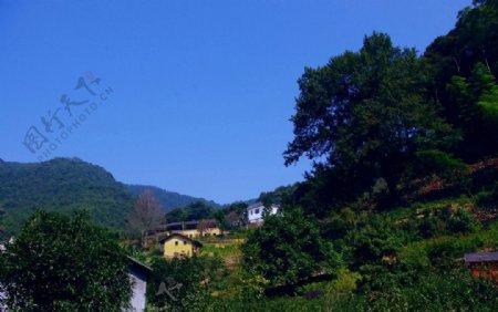 桥溪村风景图片