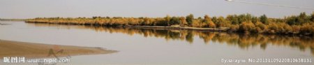 塔里木河畔图片