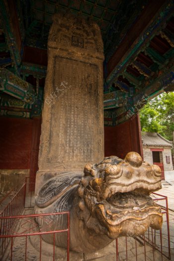 隆兴寺图片