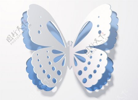 立体蝴蝶背景图片
