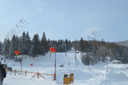雪乡滑雪图片