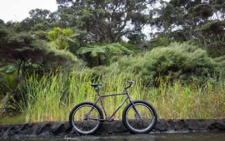 单车自行车单车摄影图片