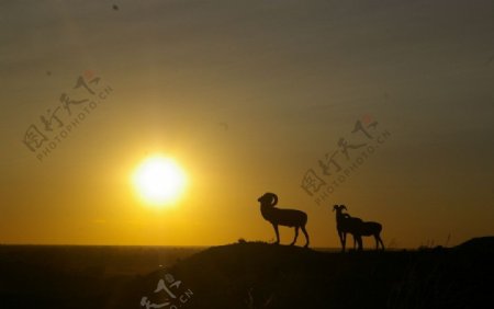 戈壁夕阳图片