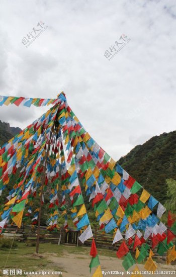 西藏彩旗图片