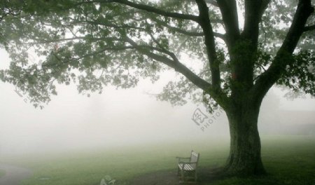 大雾弥漫图片