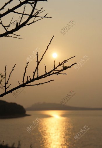松山湖日落图片