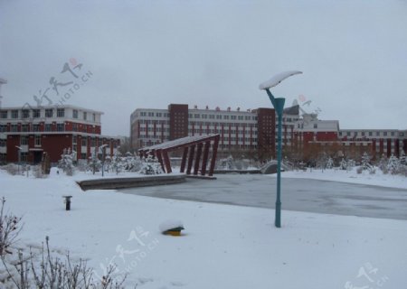 易湖冬雪图片