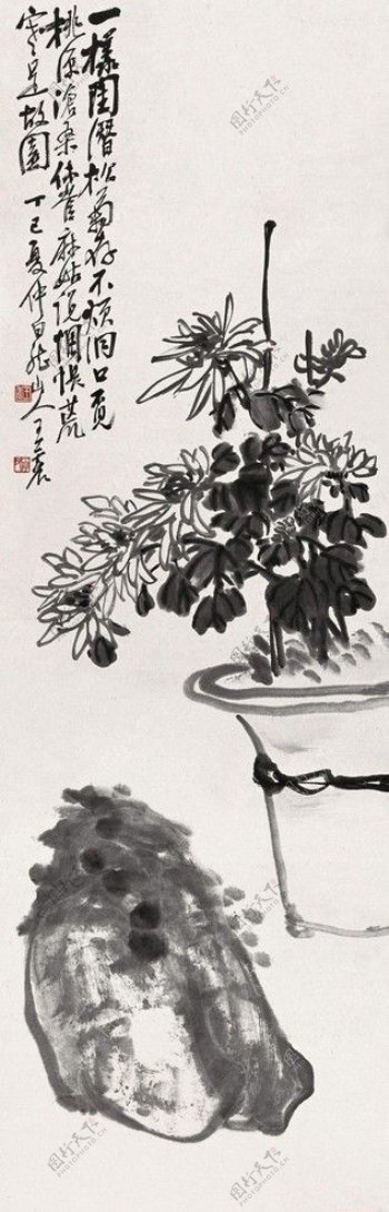 王震石头墨菊1917年图片