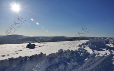 阳光雪原图片