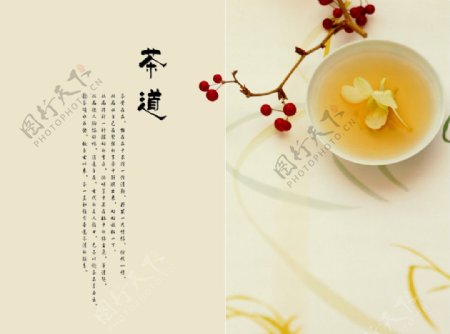 茶叶产品对折册内页图片