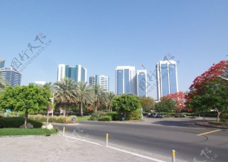 迪拜街景2图片