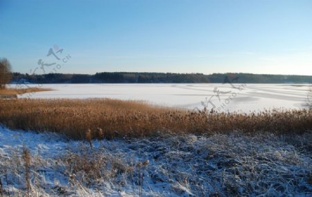 结冰的湖面图片