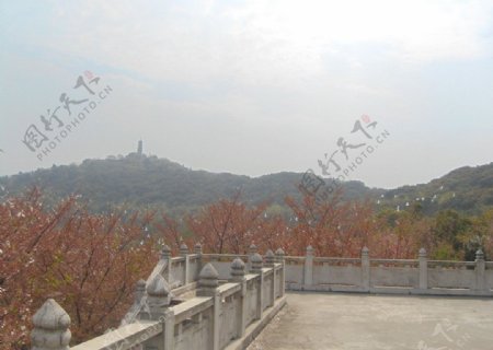 苏州风景图上方山图片