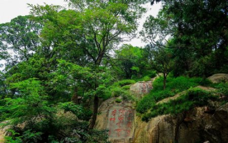 泰山风光图片