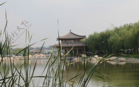 西安南湖风景图片