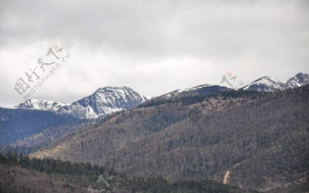 香格里拉远眺雪山图片