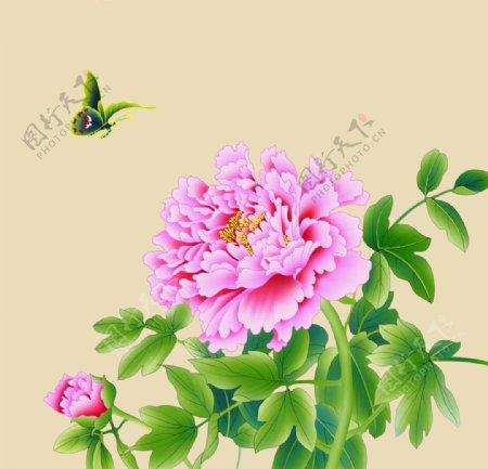 牡丹花花卉装饰画图片