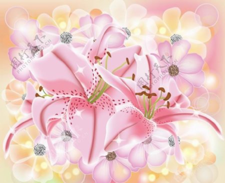 粉色鲜花花朵花卡图片