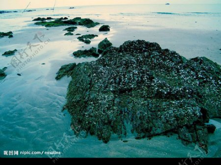 海岸礁石图片