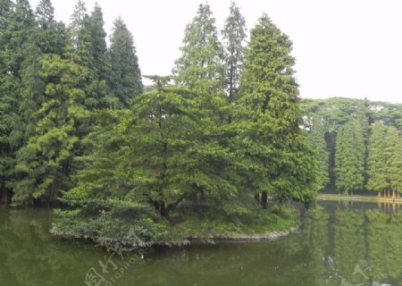 天河公园湖心岛图片