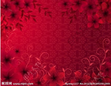 红色花纹图片