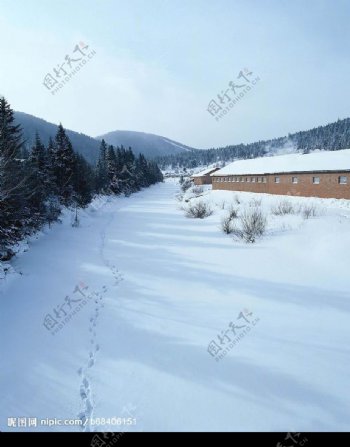 冬景迷人无际雪路图片