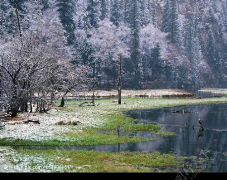 冬景迷人小溪流水图片
