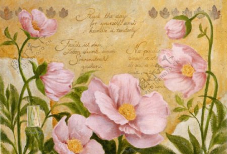 粉色油画花卉图片
