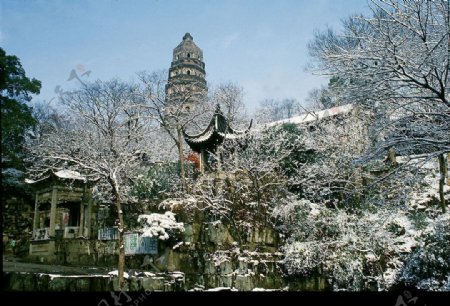 虎丘雪景图片
