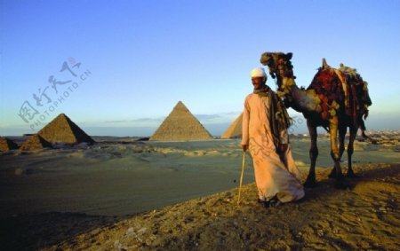 埃及沙漠图片