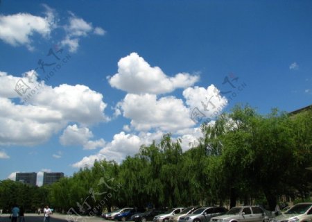 蓝天漂亮白云云朵绿树棉花糖图片
