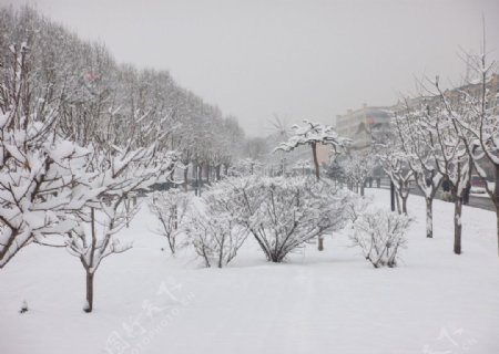 雪后街景图片
