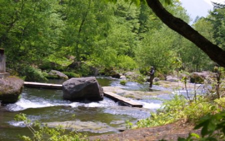 溪流河流瀑布绿树树林森林风景旅游石头图片