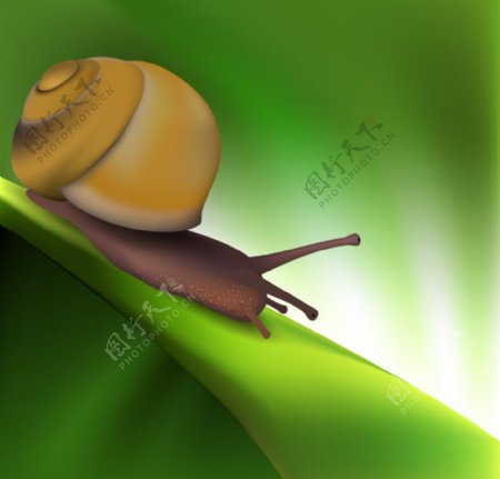 绿色动感线条蜗牛图片