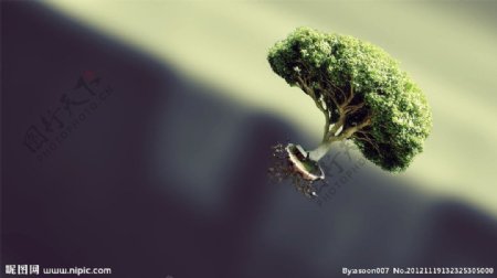飞翔的小树图片