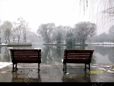 兴庆公园第一场雪景图片