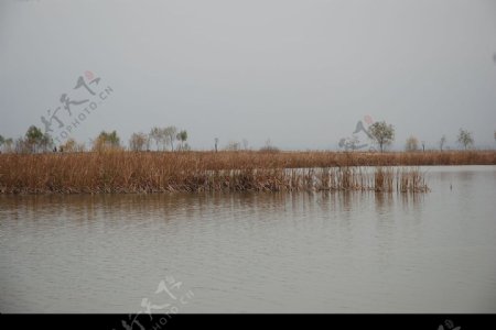 野鸭湖的冬天图片