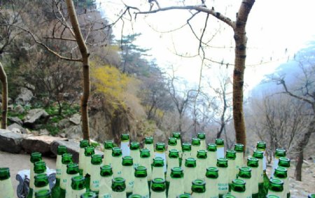 绿色酒瓶图片