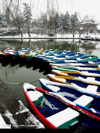冬湖彩舟图片