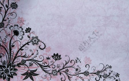 布纹复古花朵背景图片