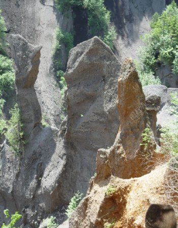 长白山大峡谷溶岩林图片