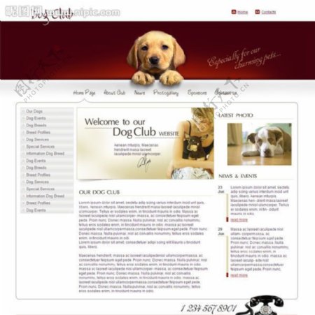 快乐宠物信息网页模板图片