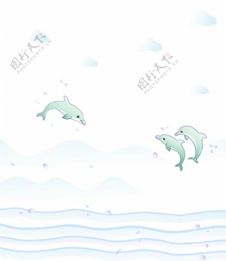 海豚宝宝图片
